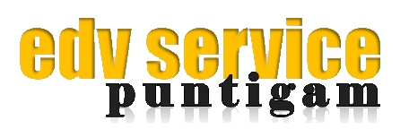 EDV-Service
